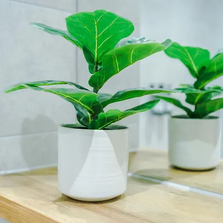 2bed In Centre & Free Parking *