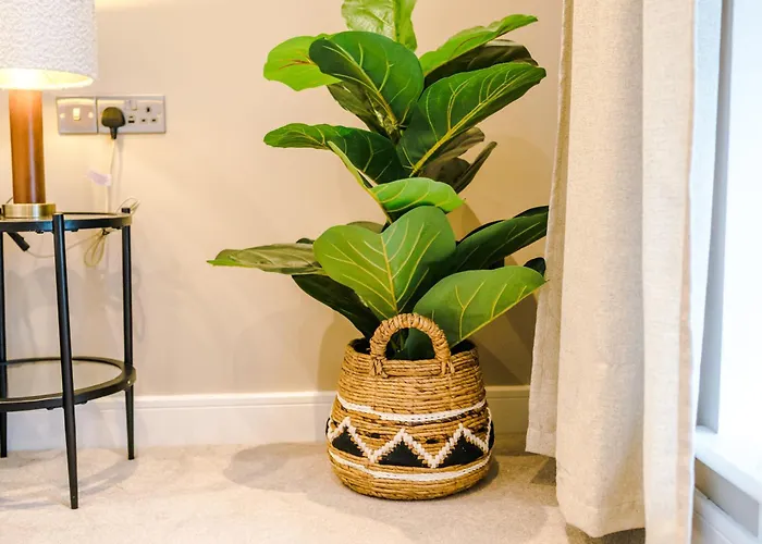 Apartman 2bed In Centre & Free Parking *