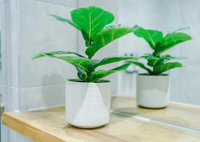 2bed In Centre & Free Parking *